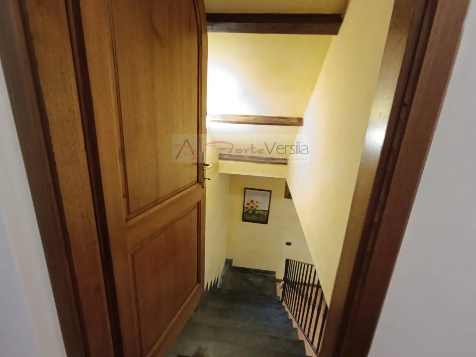 Immagine per Villa in vendita a Montignoso  