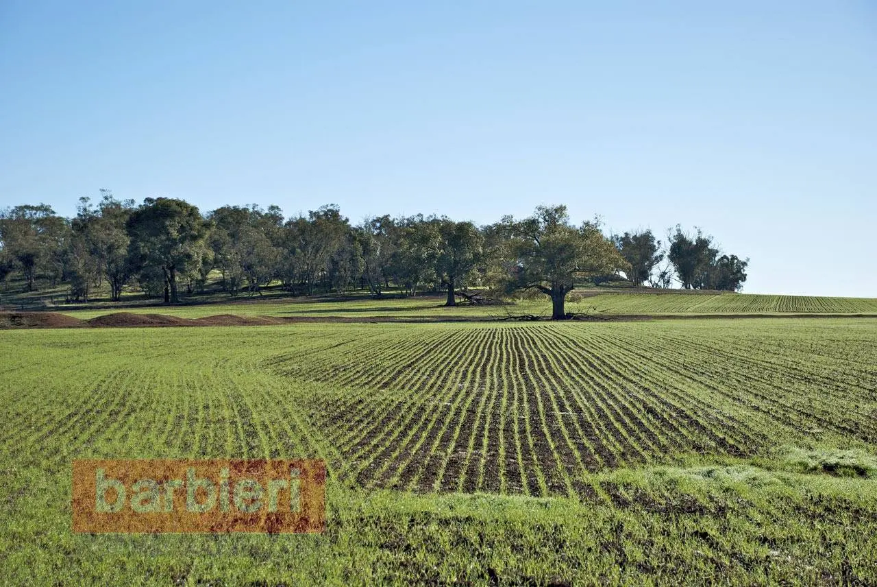 Immagine per Terreno Agricolo in vendita a Cesena Via Del Cane 