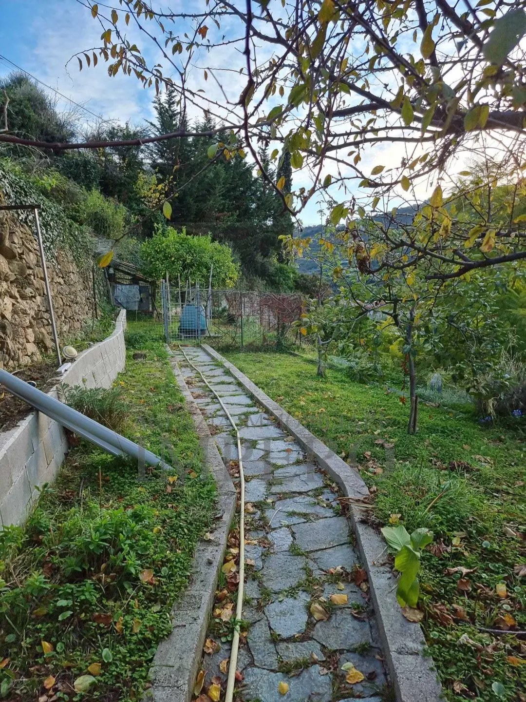 Immagine per Villa in vendita a Ventimiglia corso Limone Piemonte 174