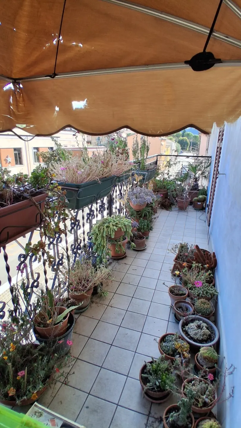 Immagine per Monolocale in vendita a San Paolo di Jesi piazzale Domenico Ricci 1