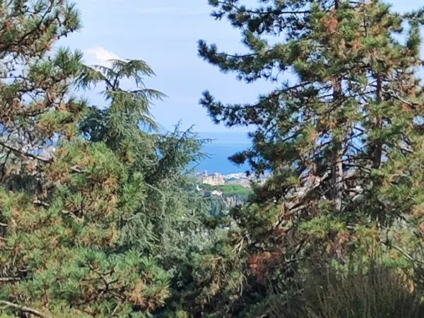 Monolocale via Savagna 21, Rapallo