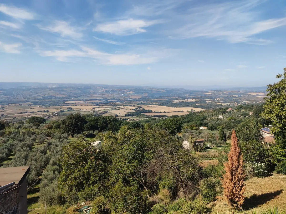 Immagine per Terratetto in vendita a Guardea via Dante Alghieri 35