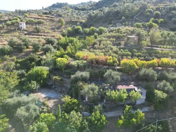Area Verde via Provinciale 44, San Biagio Della Cima