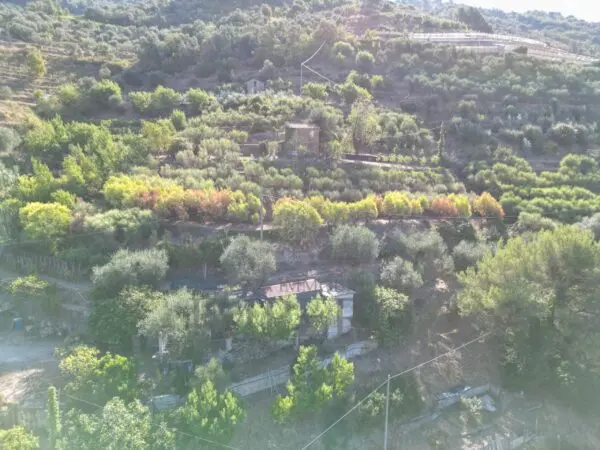 Area Verde via Provinciale 44, San Biagio Della Cima