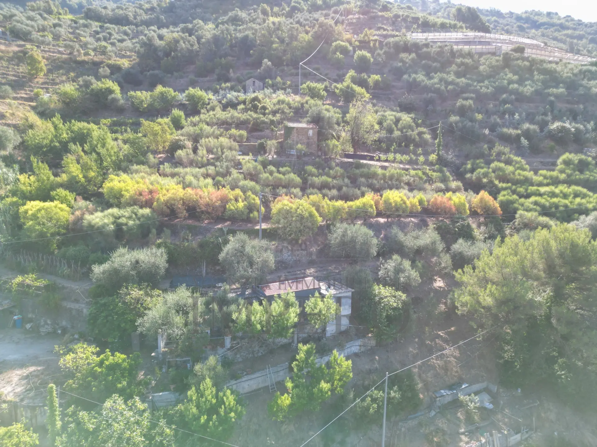 Immagine per Area verde in vendita a San Biagio della Cima via Provinciale 44