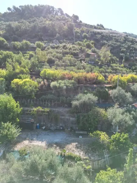 Area Verde via Provinciale 44, San Biagio Della Cima