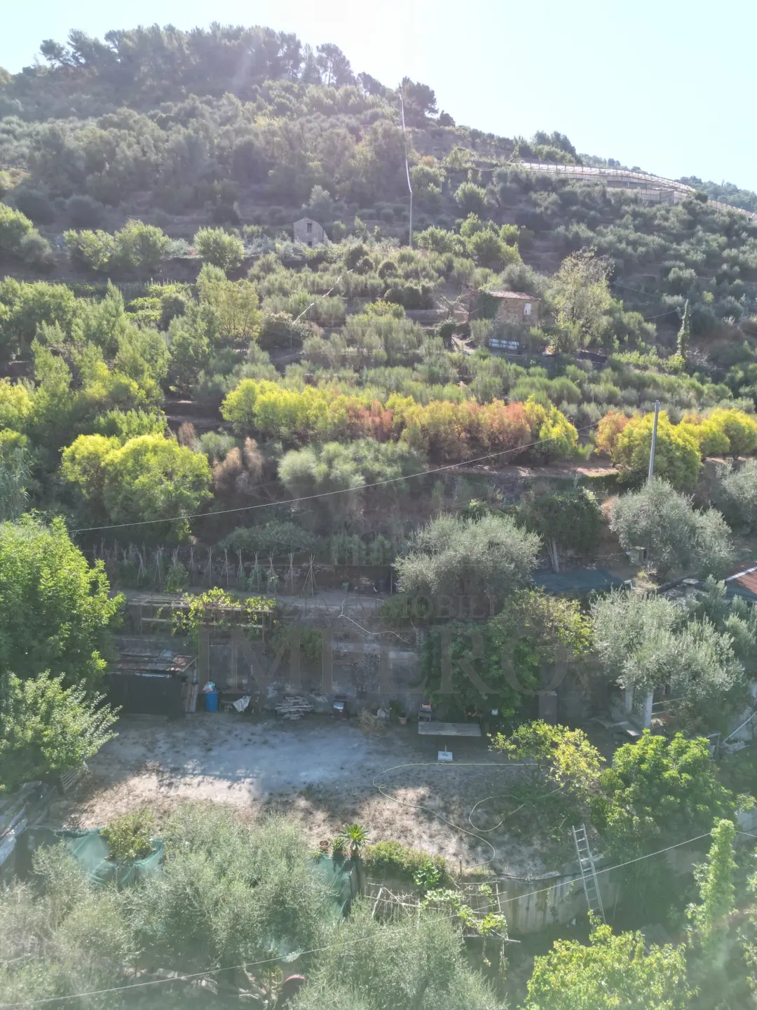 Immagine per Area verde in vendita a San Biagio della Cima via Provinciale 44