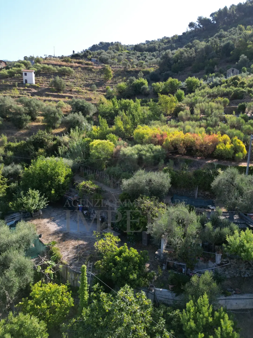 Immagine per Area verde in vendita a San Biagio della Cima via Provinciale 44
