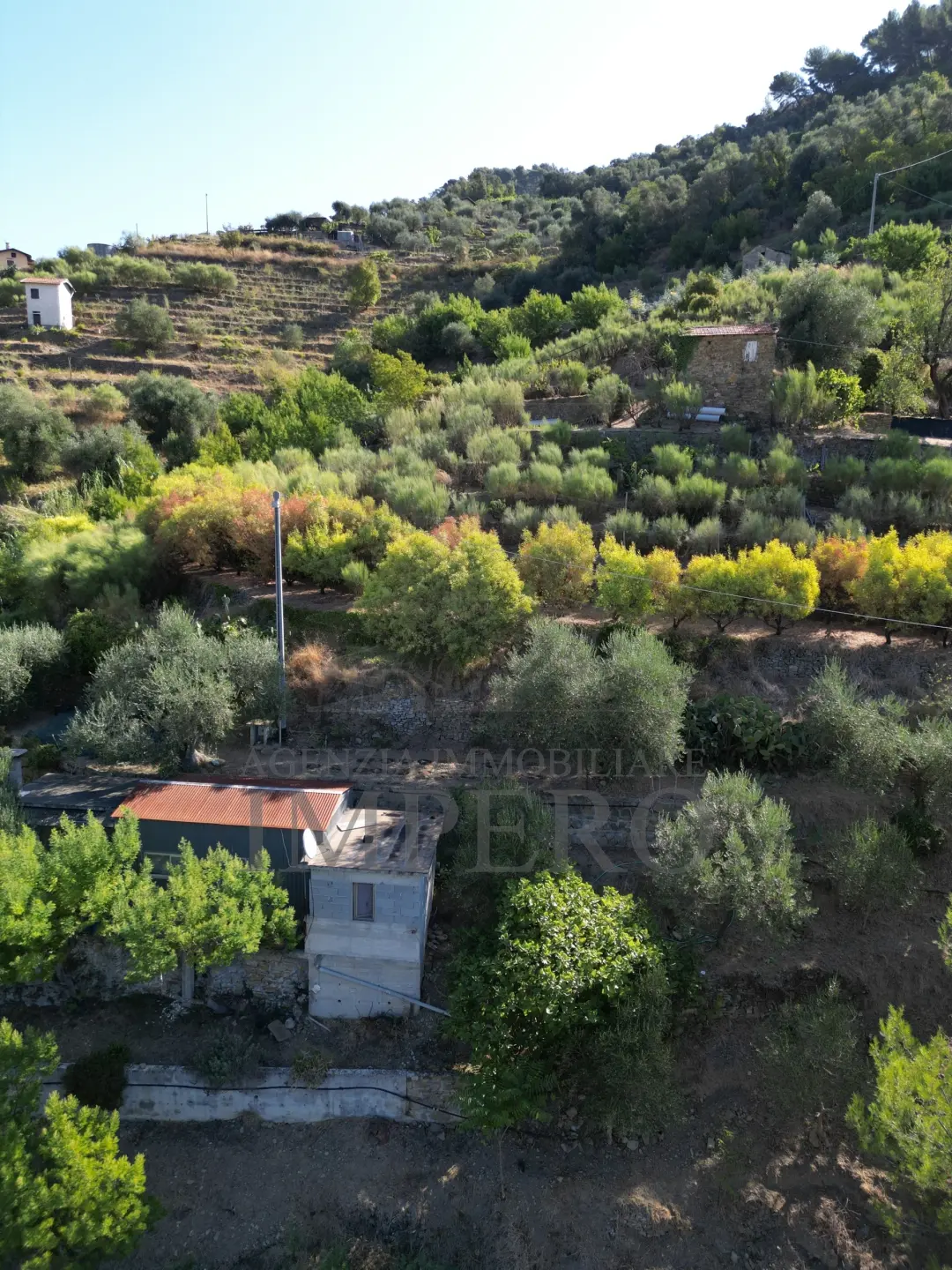 Immagine per Area verde in vendita a San Biagio della Cima via Provinciale 44