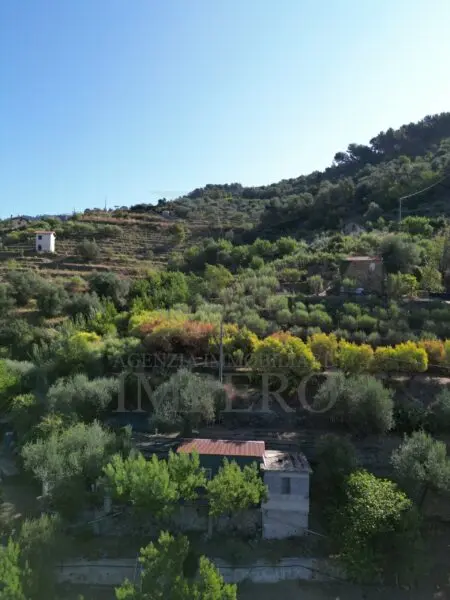 Area Verde via Provinciale 44, San Biagio Della Cima