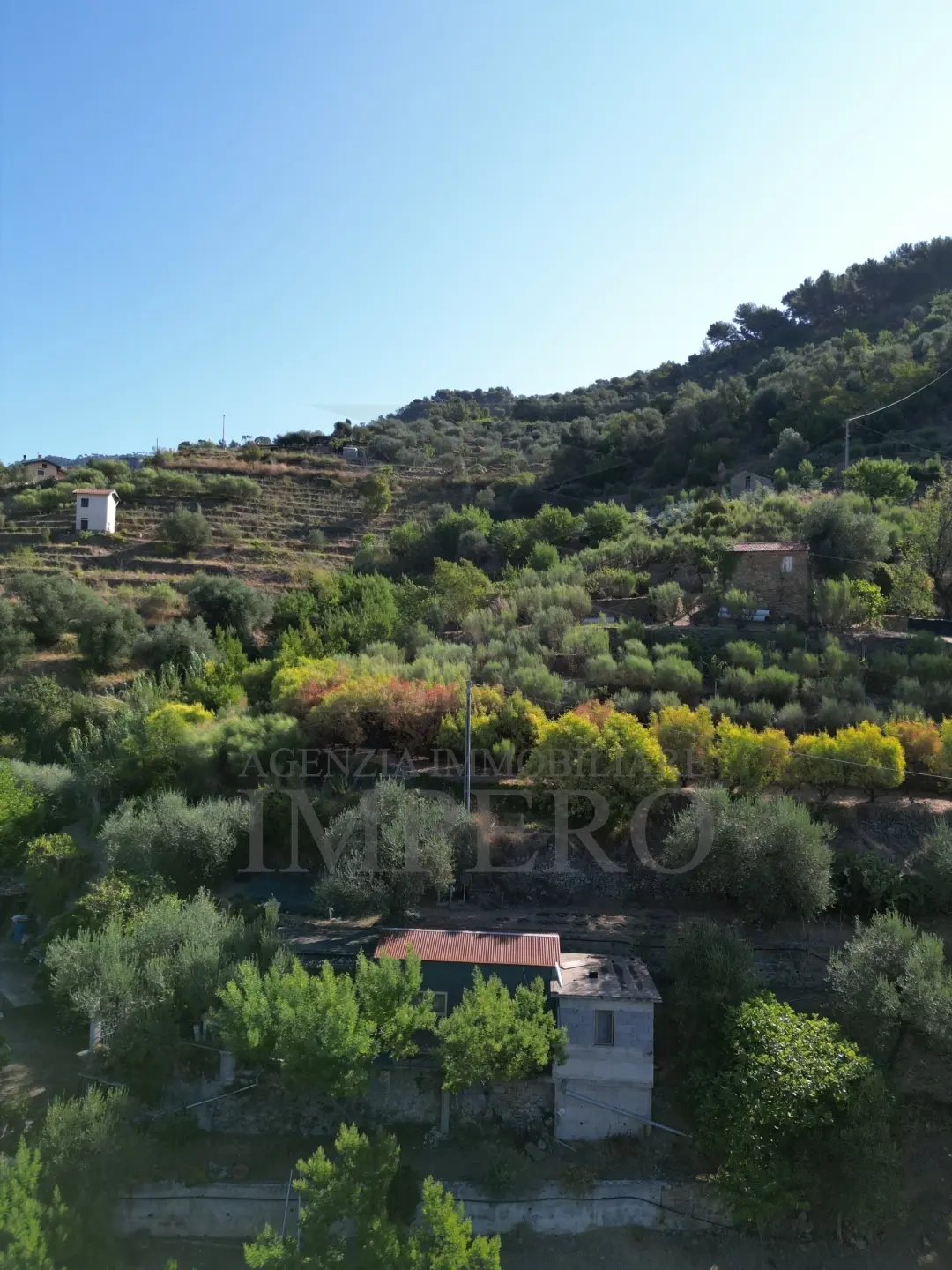 Immagine per Area verde in vendita a San Biagio della Cima via Provinciale 44