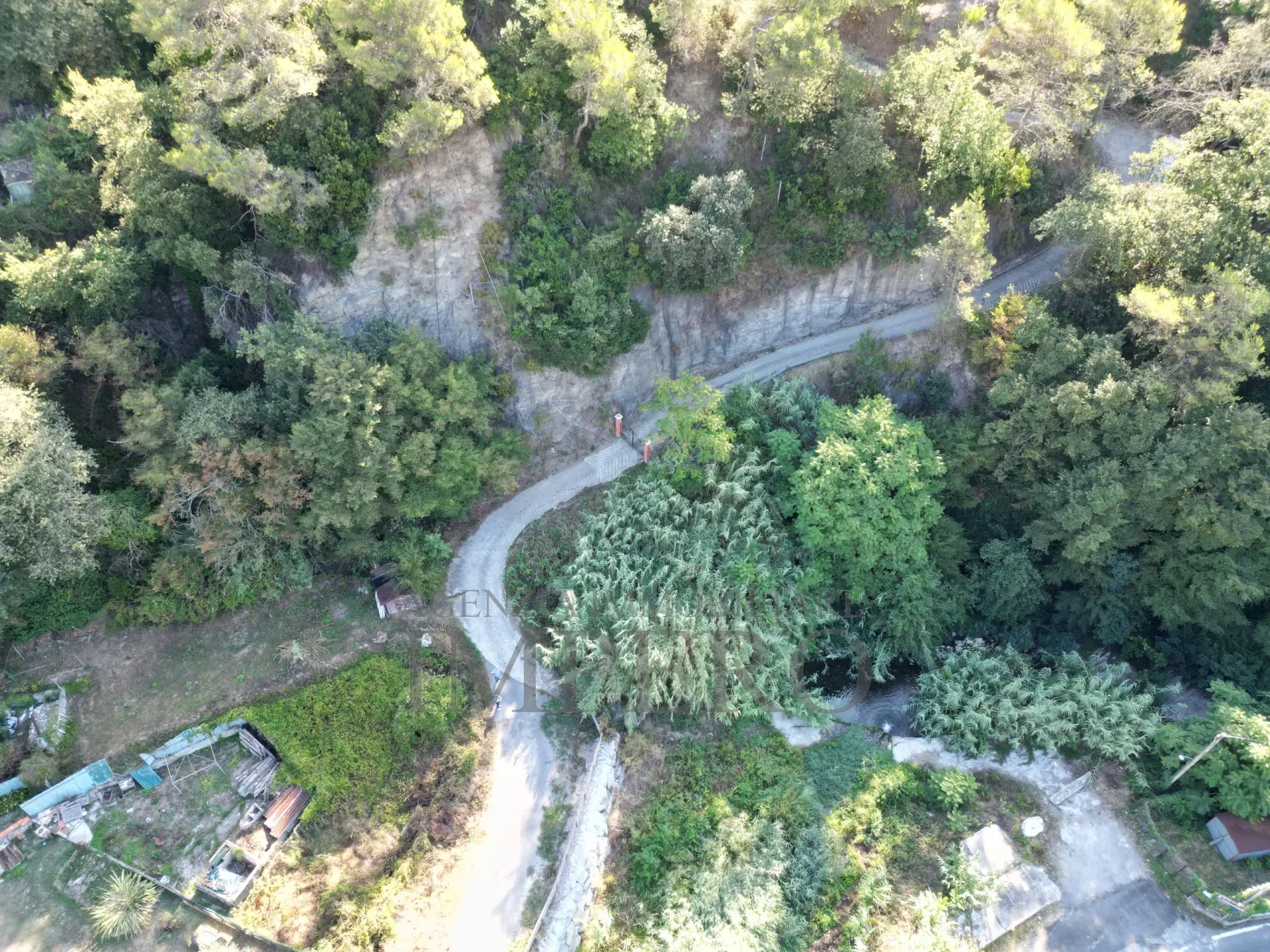 Immagine per Area verde in vendita a San Biagio della Cima via Provinciale 44