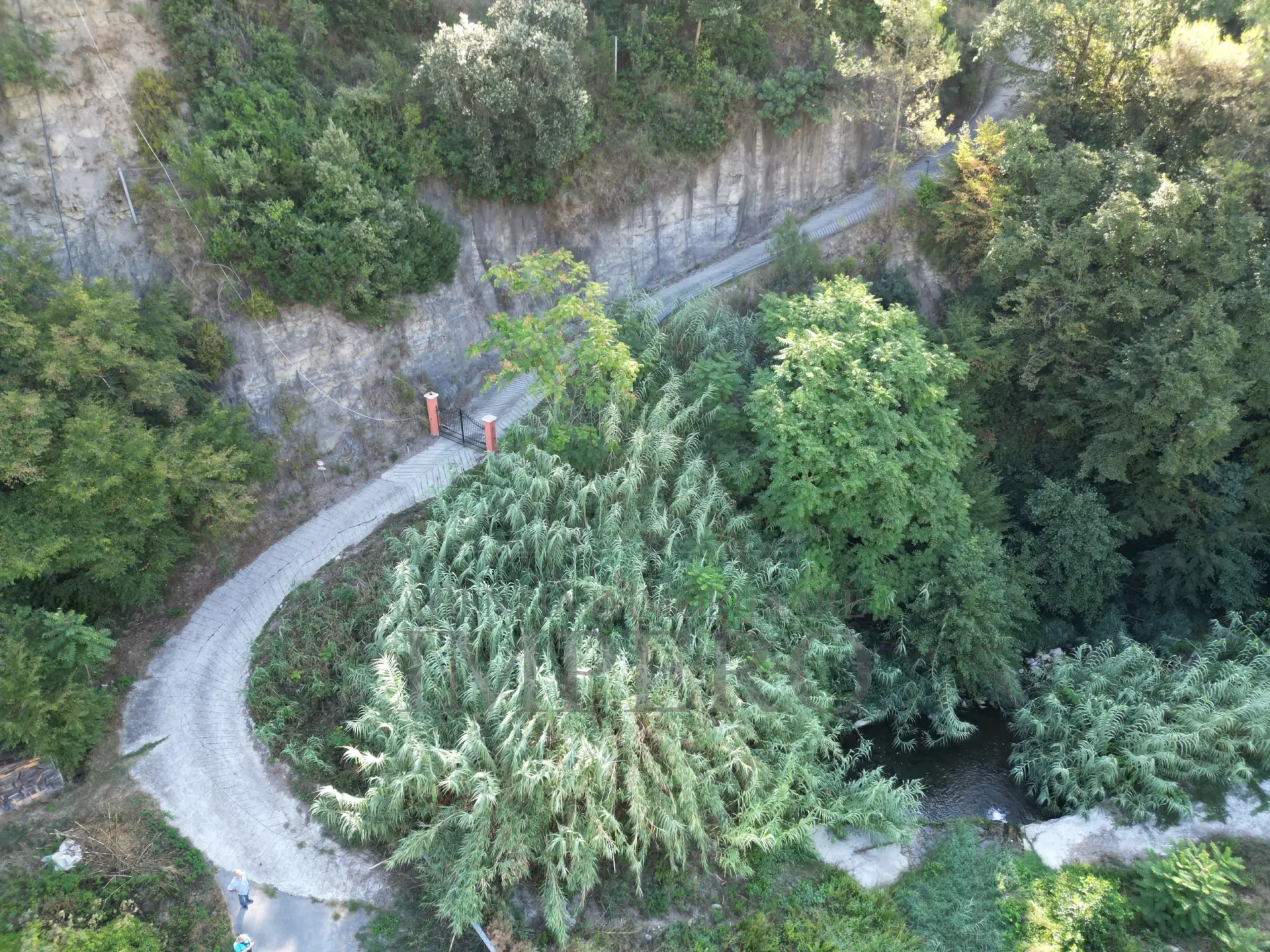 Immagine per Area verde in vendita a San Biagio della Cima via Provinciale 44