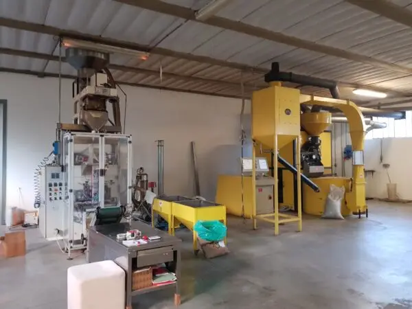 Immagine per Industriale in affitto a Capannori