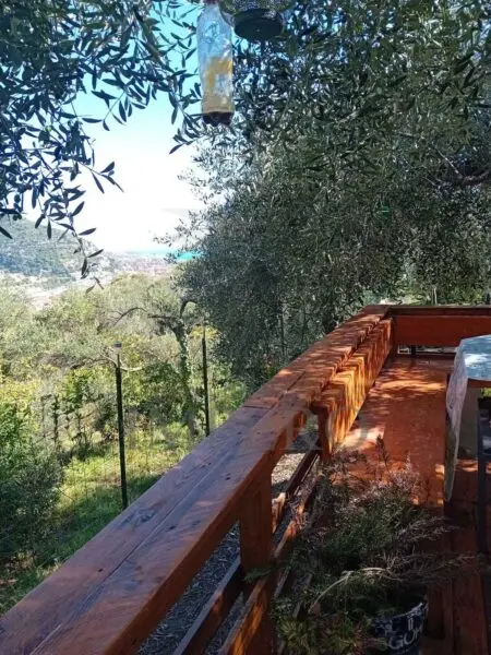 Uliveto via Monsignore Daffra 40, Ventimiglia
