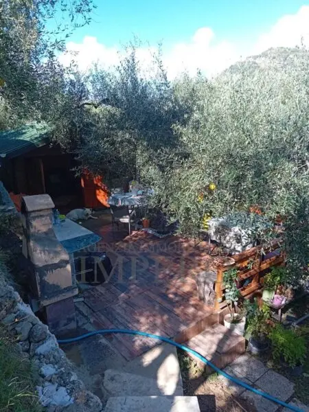 Uliveto via Monsignore Daffra 40, Ventimiglia