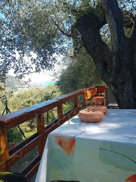 Uliveto via Monsignore Daffra 40, Ventimiglia