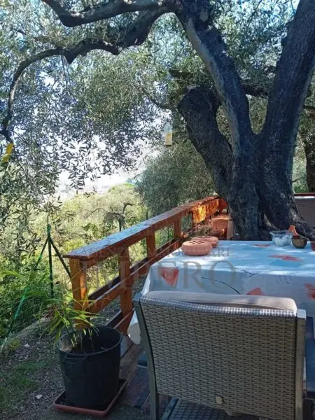Uliveto via Monsignore Daffra 40, Ventimiglia