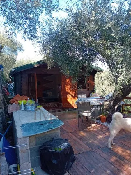 Uliveto via Monsignore Daffra 40, Ventimiglia