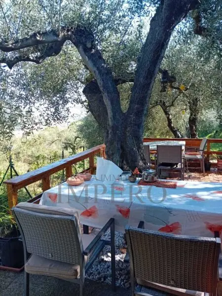 Uliveto via Monsignore Daffra 40, Ventimiglia
