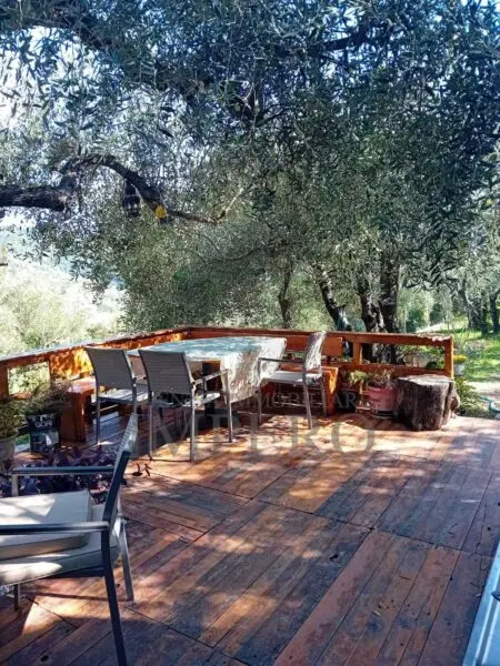 Uliveto via Monsignore Daffra 40, Ventimiglia