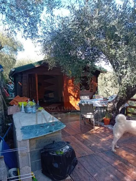 Uliveto via Monsignore Daffra 40, Ventimiglia