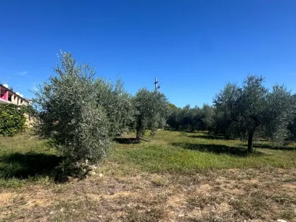 Terreno Commerciale via Saline, Pianella