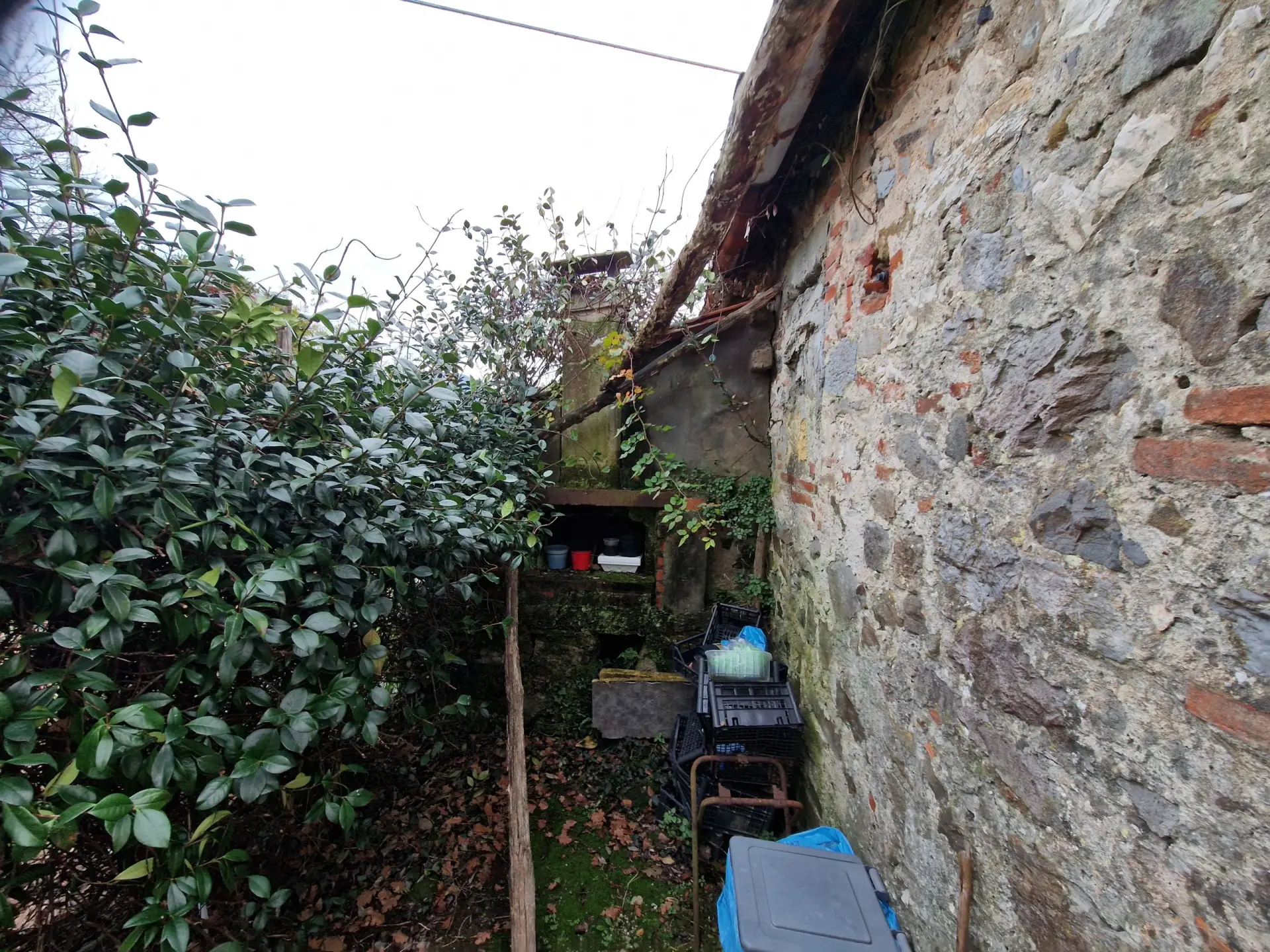 Immagine per Terratetto in vendita a Lucca via Di Balbano