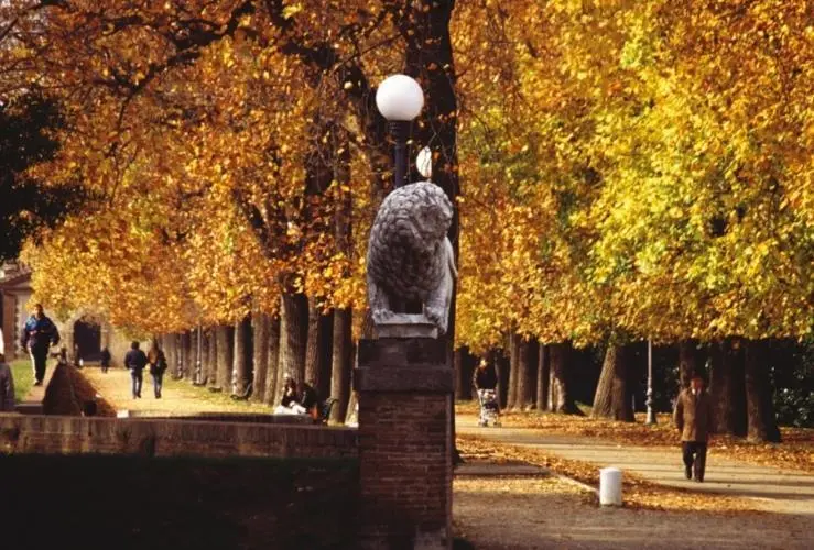 Immagine per Bed and Breakfast in vendita a Lucca via Degli Angeli