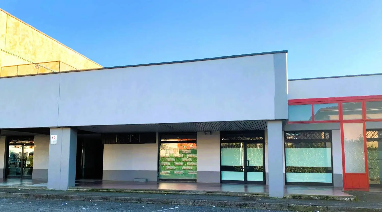 Immagine per Capannone Industriale in vendita a Castel Mella via Salvatore Quasimodo 15