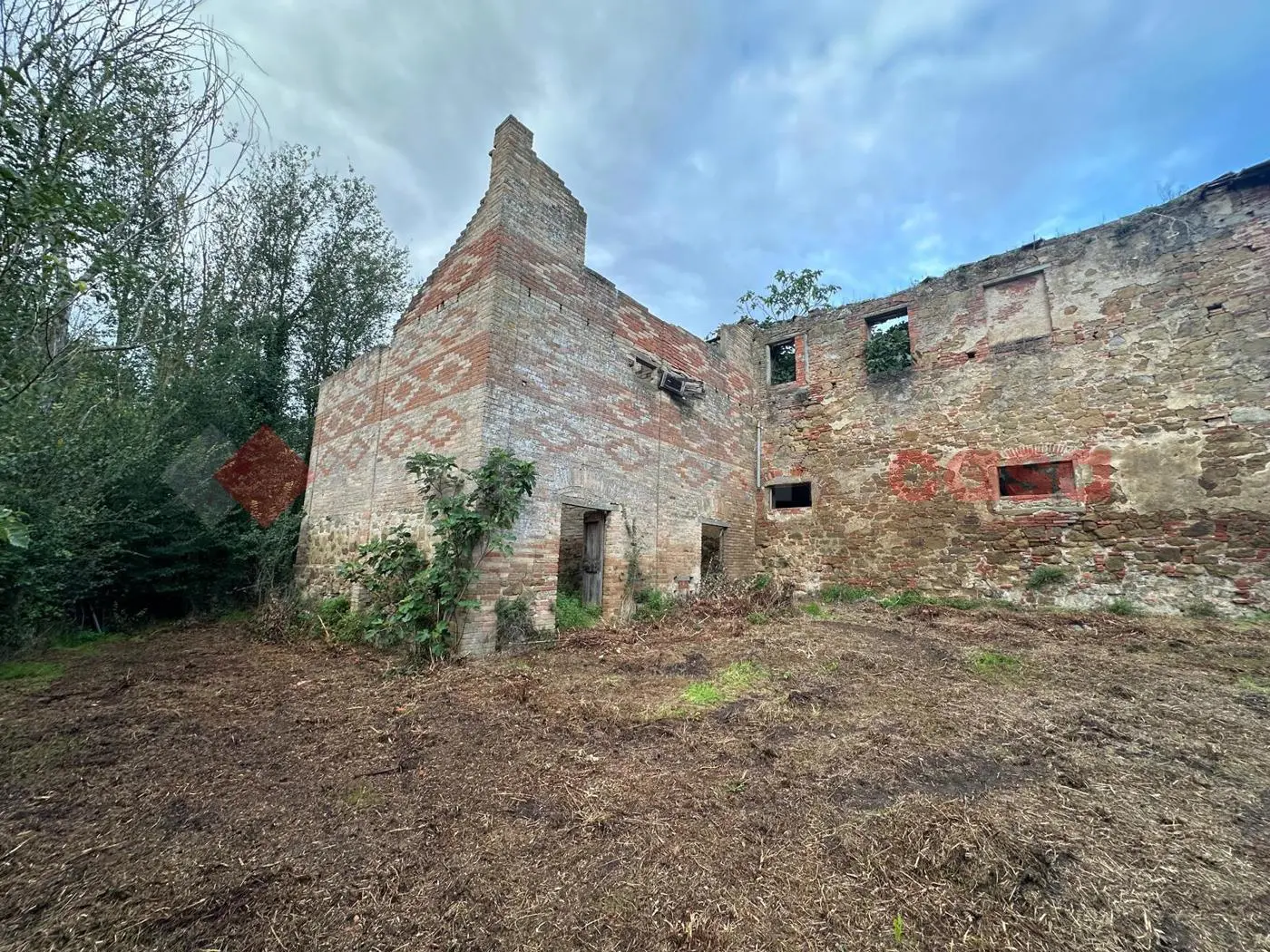Immagine per Terreno Agricolo in vendita a Arezzo