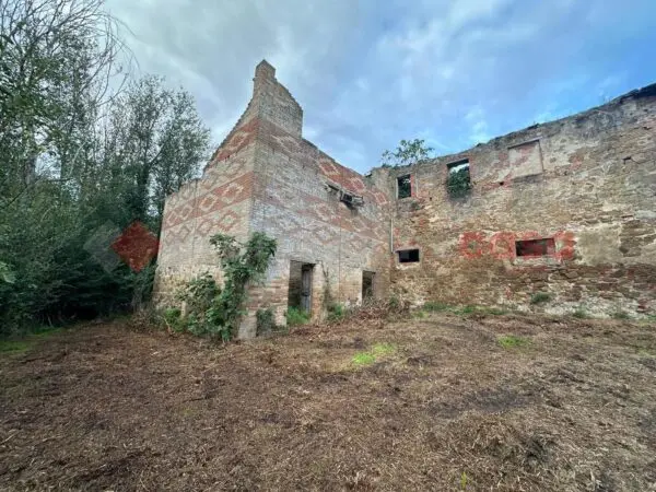 Terreno Agricolo Arezzo