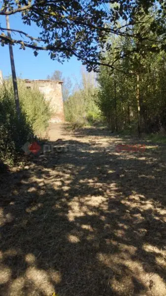 Terreno Agricolo Arezzo