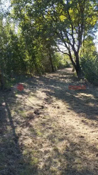 Terreno Agricolo Arezzo