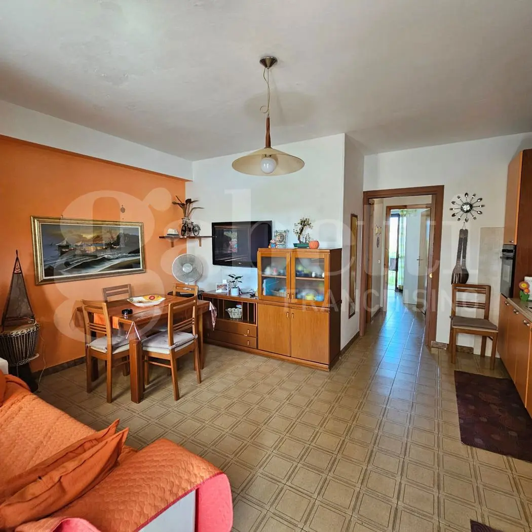 Immagine per Appartamento in vendita a Santa Maria del Cedro via Delle Mimose
