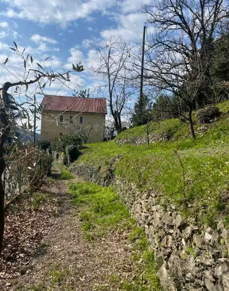 Appartamento via Valleregia, Serra Riccò