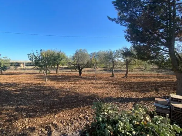Villa A Schiera via Acquaviva, Casamassima