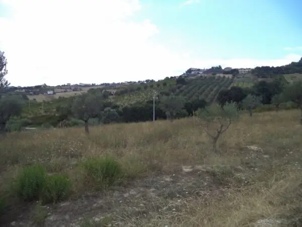 Villa Trifamiliare via Delle Cerase 1, Colonnella