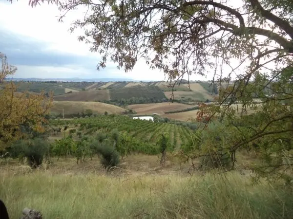 Villa Trifamiliare via Delle Cerase 1, Colonnella