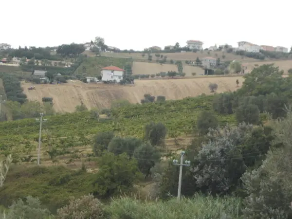 Villa Trifamiliare via Delle Cerase 1, Colonnella