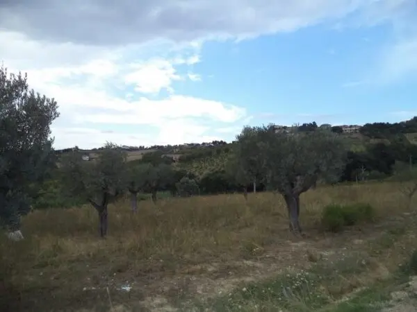Villa Trifamiliare via Delle Cerase 1, Colonnella