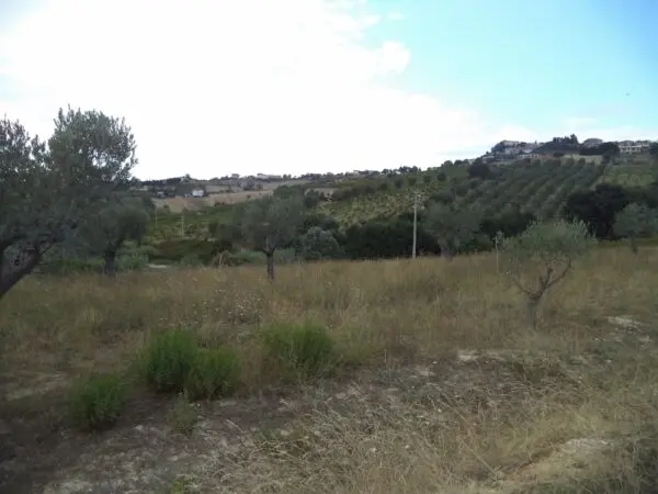 Villa Trifamiliare via Delle Cerase 1, Colonnella