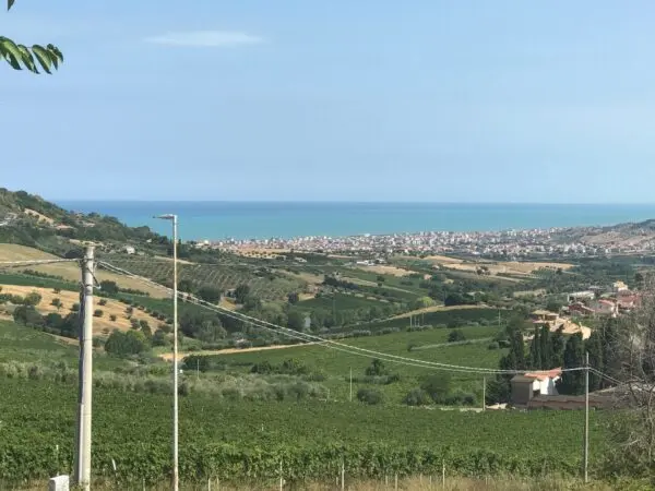 Immagine per Industriale in vendita a Colonnella via Contrada  Riomoro