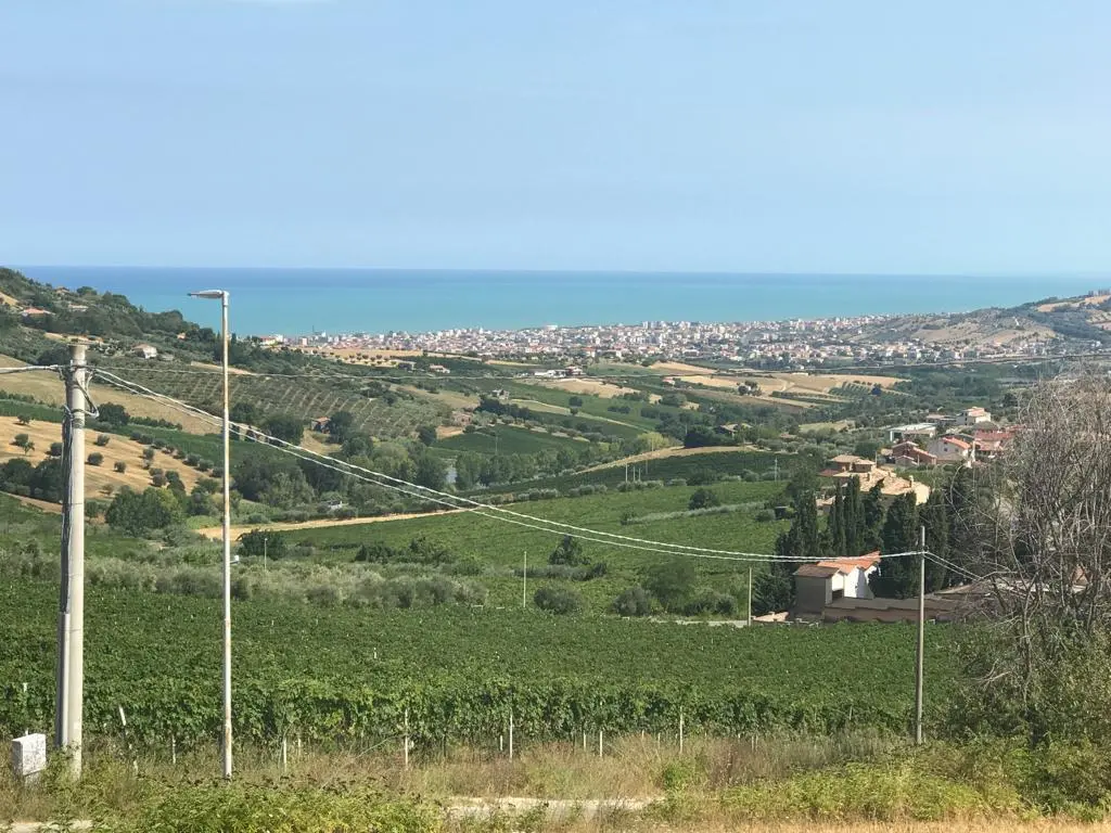 Immagine per Industriale in vendita a Colonnella via Contrada  Riomoro