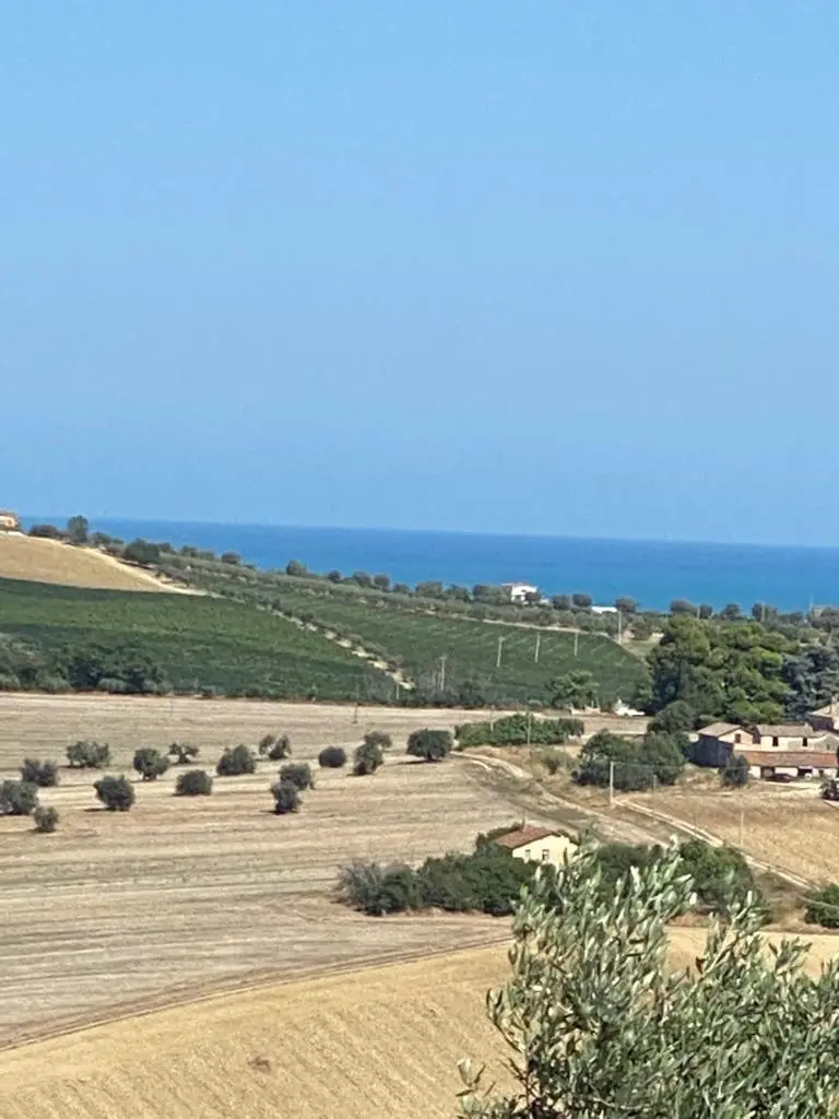 Immagine per Industriale in vendita a Colonnella via Contrada  Riomoro