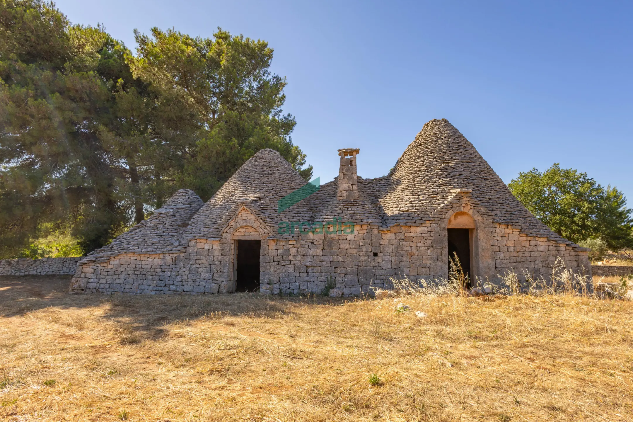 Immagine per Casale in vendita a Alberobello via Contrada Scrasciolla 13