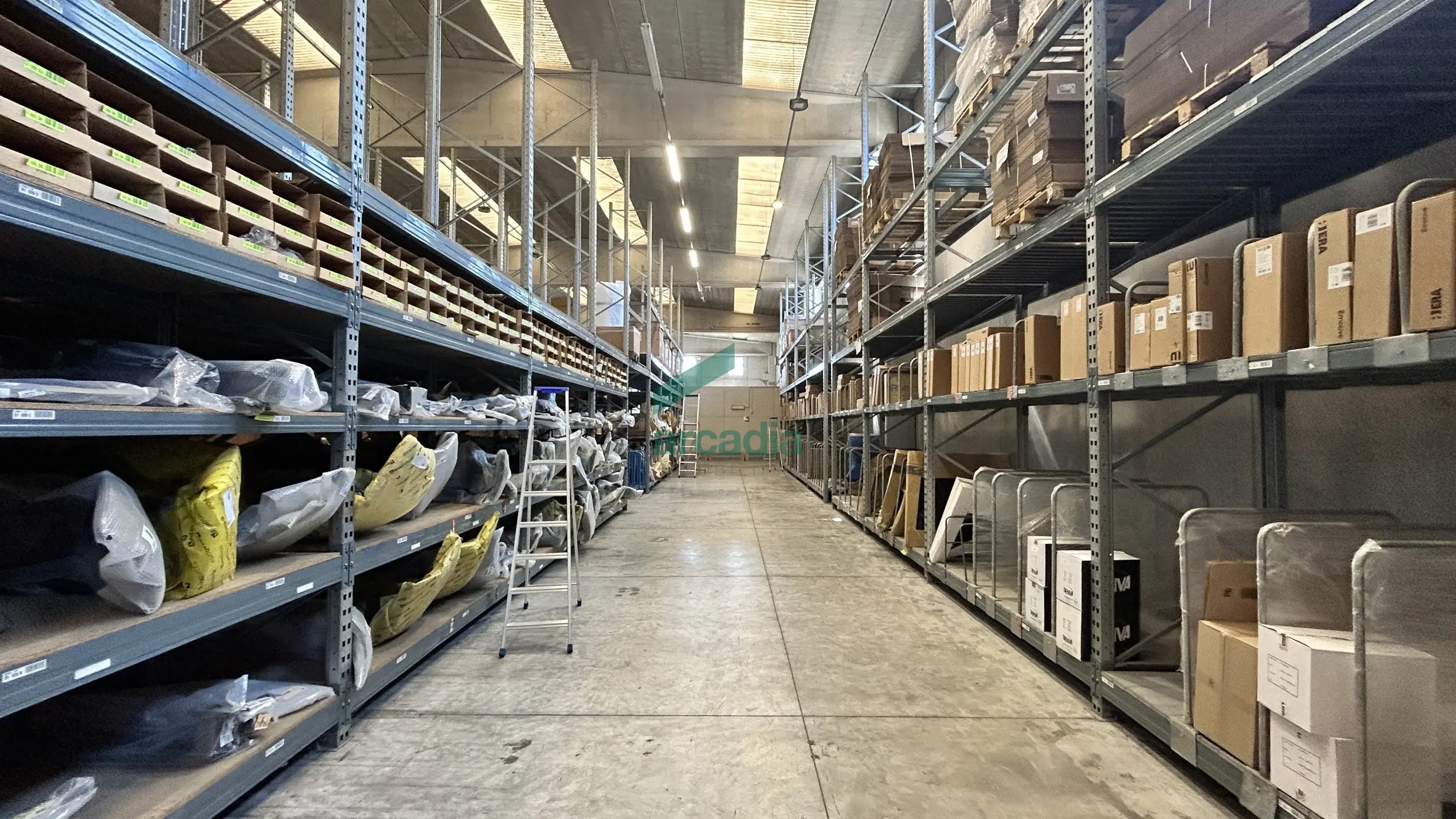 Immagine per Industriale in vendita a Modugno strada Provinciale Palese-modugno 12