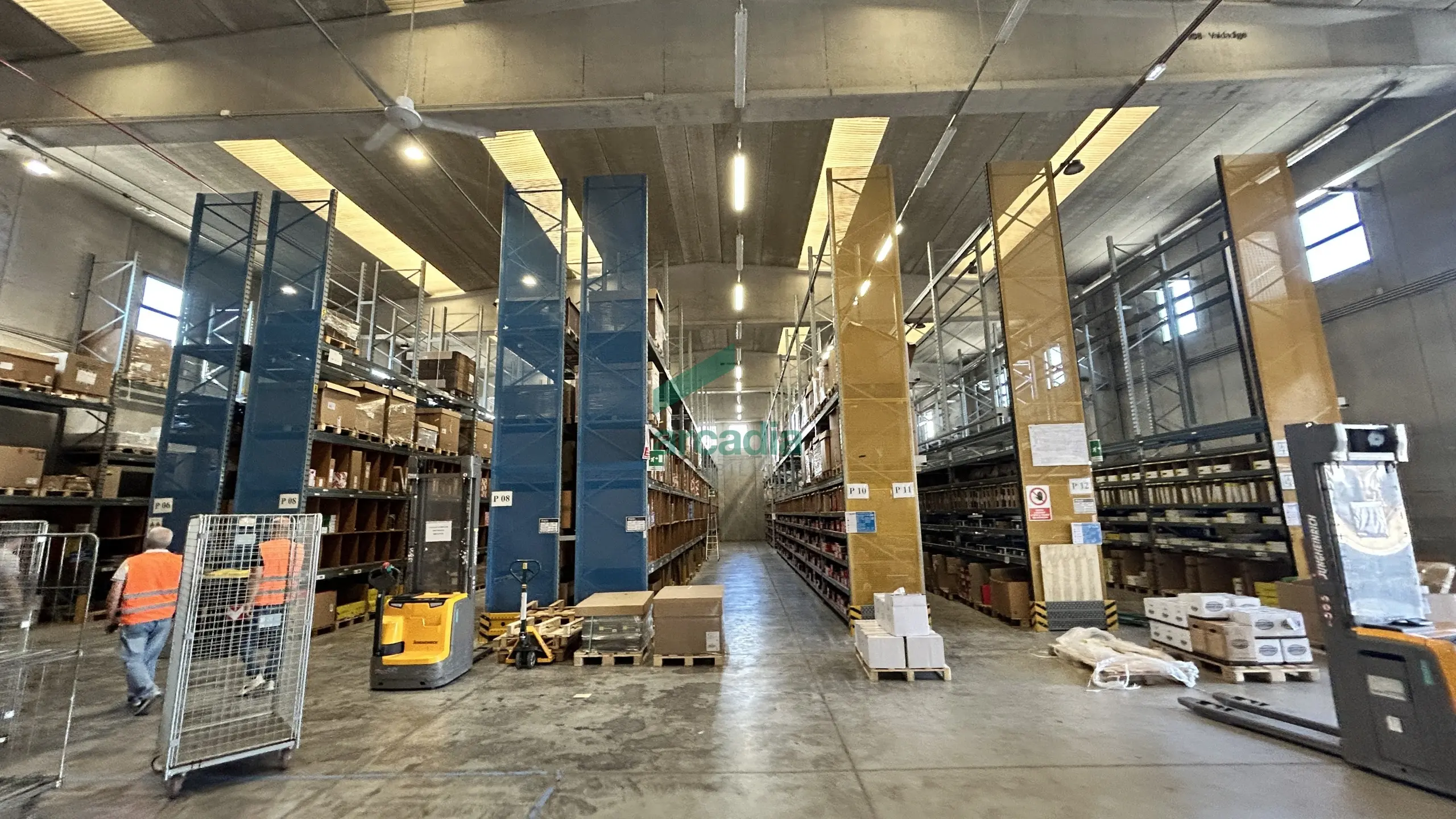 Immagine per Industriale in vendita a Modugno strada Provinciale Palese-modugno 12