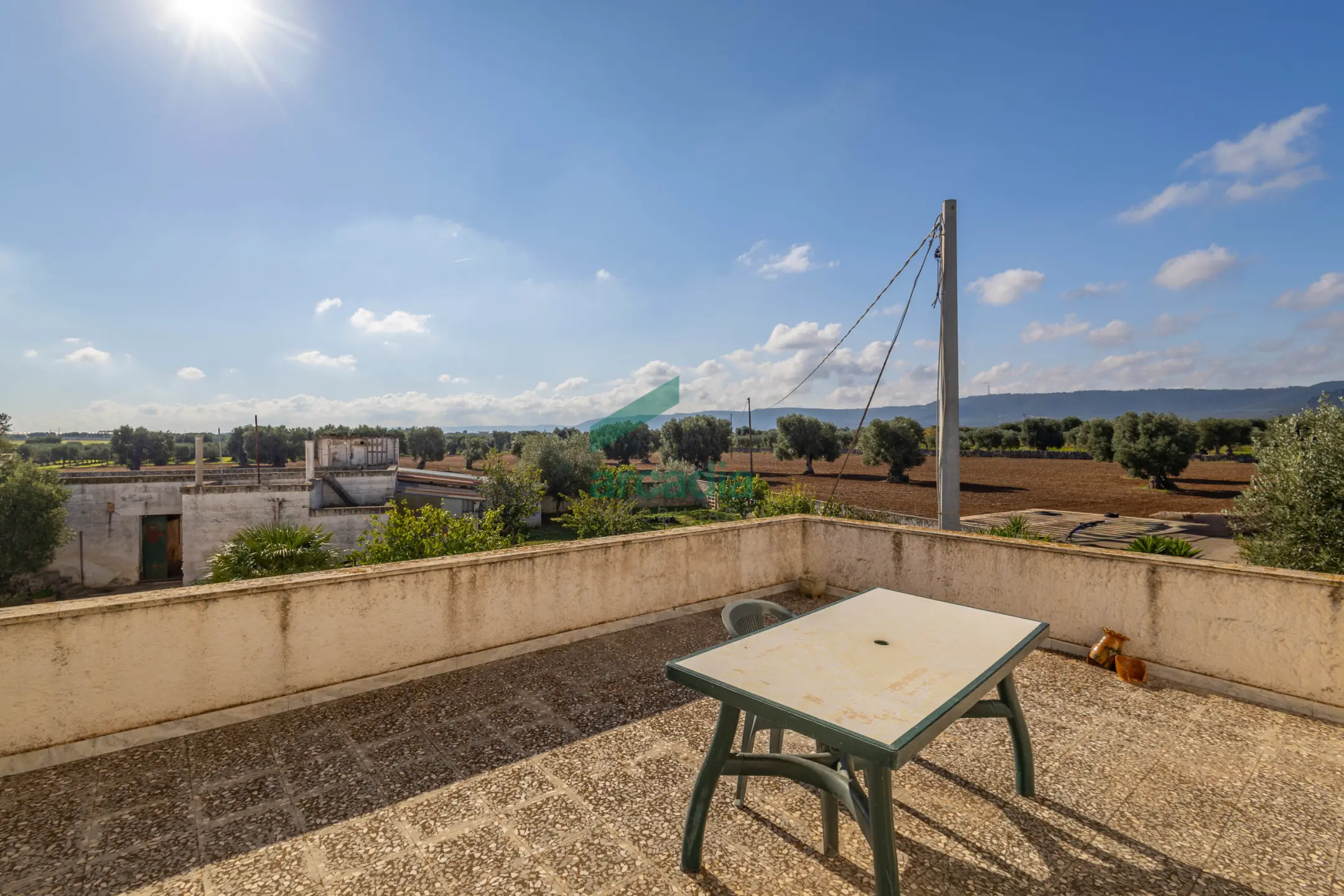 Immagine per Casale in vendita a Monopoli via Contrada Cristo Delle Zolle 209