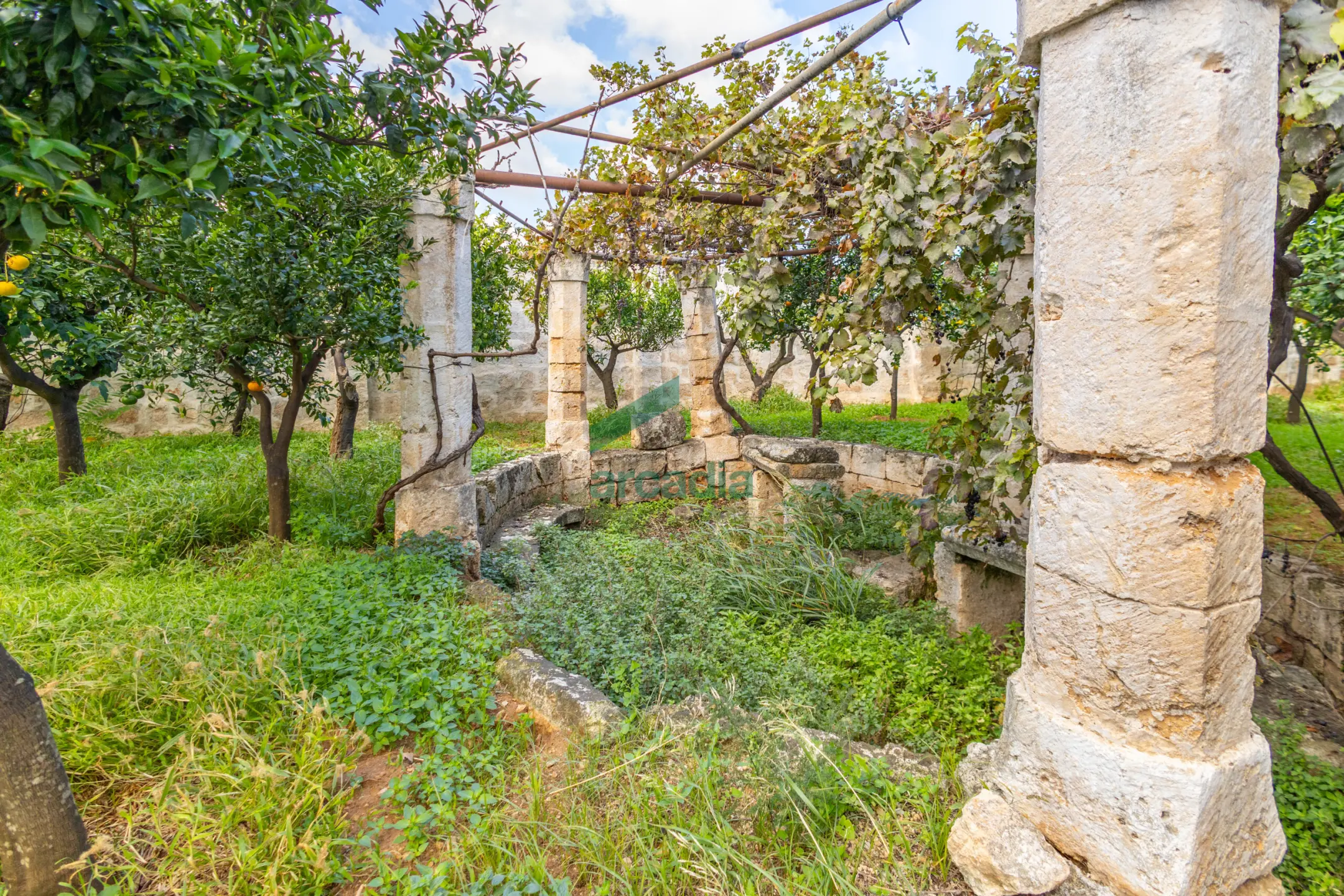 Immagine per Casale in vendita a Monopoli via Contrada Cristo Delle Zolle 209